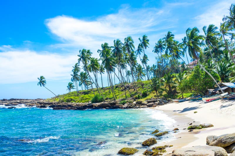 Tropisch strand in Sri Lanka, stock afbeelding Tropisch strand in Sri Lanka, stock afbeelding