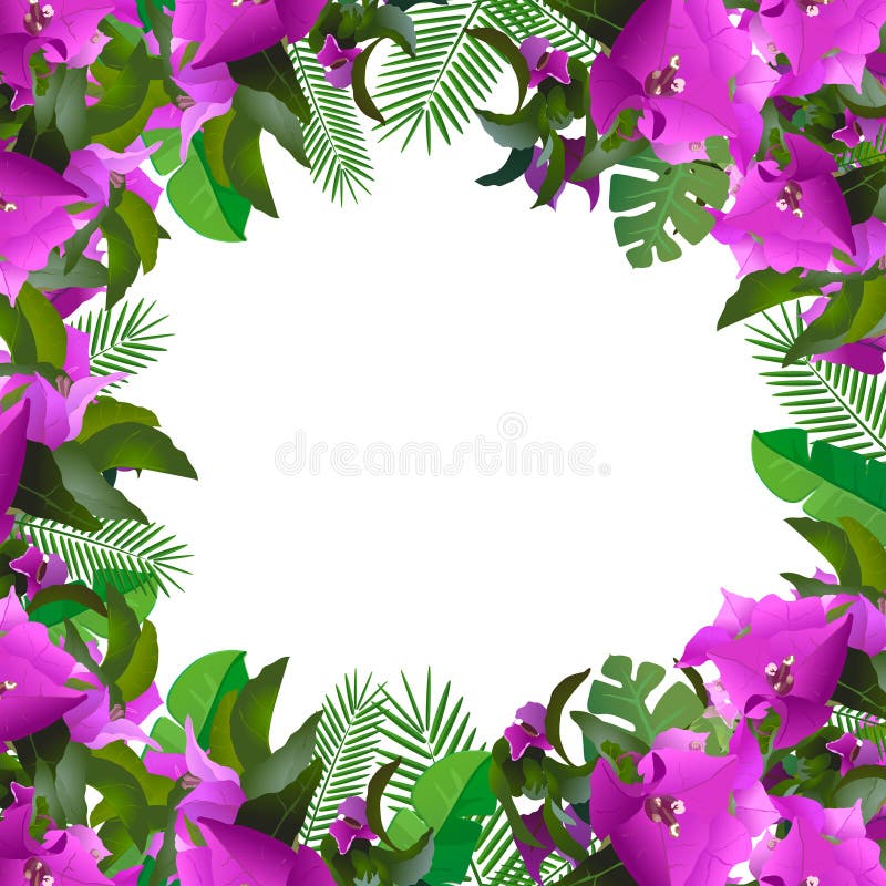 Tropische bladeren bloemenontwerp en tekstplaats vector illustratie Tropische bladeren bloemenontwerp en tekstplaats vector illustratie