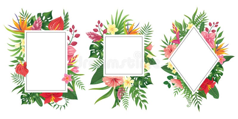 Tropische bloemkaders De botanische grenzen van keerkringen, het tropische kader van de bloemenuitnodiging en de zomer planten gr stock illustratie Tropische bloemkaders De botanische grenzen van keerkringen, het tropische kader van de bloemenuitnodiging en de zomer planten gr stock illustratie