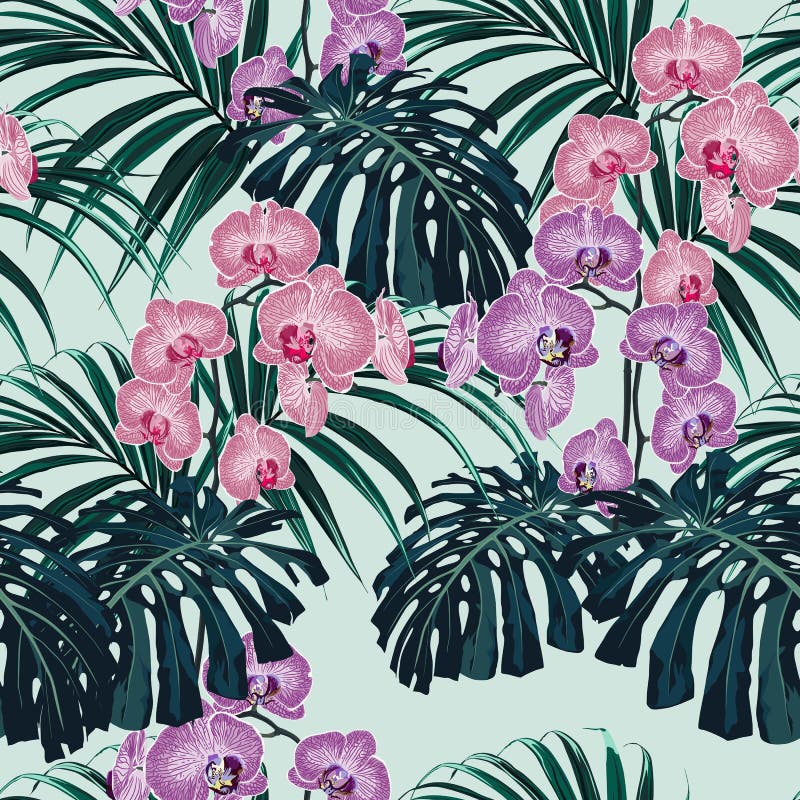 Tropische exotische Anlagen nahtloses Muster, Monster, Palmblätter und rosa violette Orchideenblumen vektor abbildung Tropische exotische Anlagen nahtloses Muster, Monster, Palmblätter und rosa violette Orchideenblumen vektor abbildung