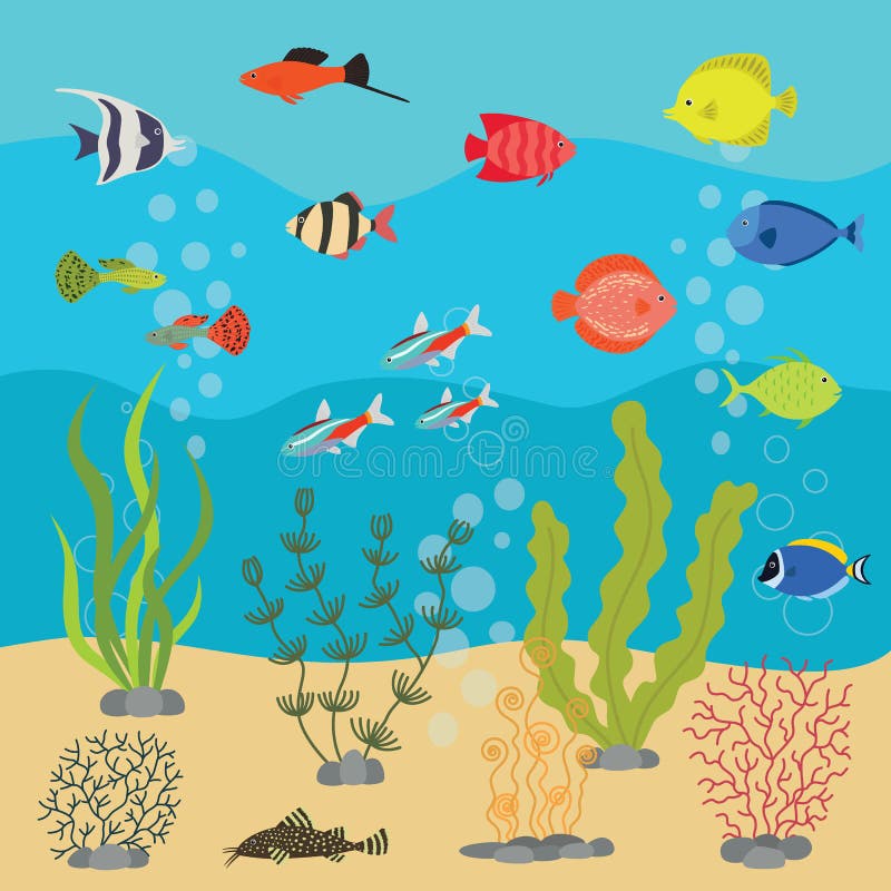Tropische exotische vissen in aquarium of oceaan onderwater Vectorillustratie van vissentank met kleurrijke zeevissen royalty-vrije illustratie Tropische exotische vissen in aquarium of oceaan onderwater Vectorillustratie van vissentank met kleurrijke zeevissen royalty-vrije illustratie