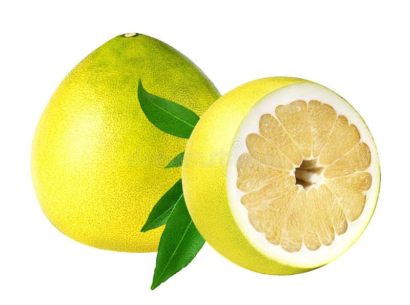 Tropische Frucht Pamela auf einem Weiß stockbild Tropische Frucht Pamela auf einem Weiß stockbild