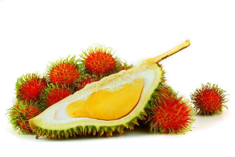 Tropical Fruits - Durian and Rambutans on white background. Tropical Fruits - Durian and Rambutans on white background