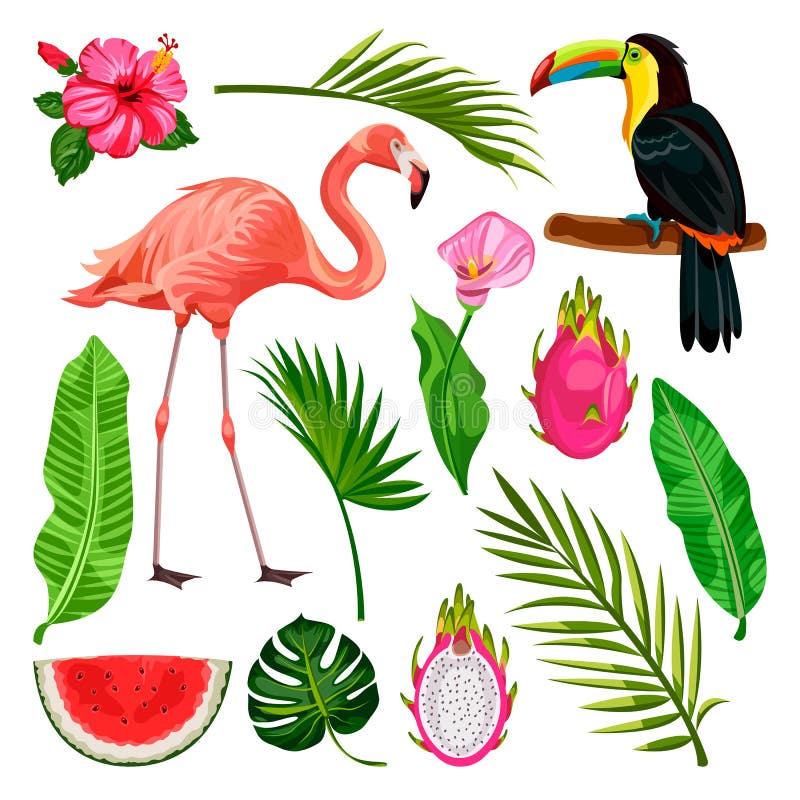 Tropische Gestaltungselemente des Sommers auf weißem Hintergrund Vektorillustration des Tukans, Flamingo, Palmblätter, Drachefruc vektor abbildung Tropische Gestaltungselemente des Sommers auf weißem Hintergrund Vektorillustration des Tukans, Flamingo, Palmblätter, Drachefruc vektor abbildung