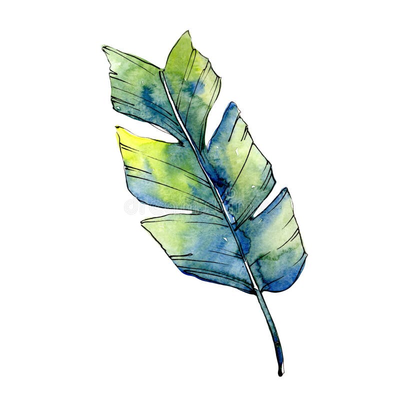 Tropische groene lesves in een geïsoleerde waterverfstijl vector illustratie Tropische groene lesves in een geïsoleerde waterverfstijl vector illustratie