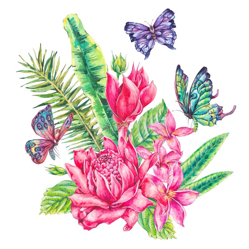 Tropische Grußmit blumenkarte der Aquarellweinlese lizenzfreie abbildung Tropische Grußmit blumenkarte der Aquarellweinlese lizenzfreie abbildung