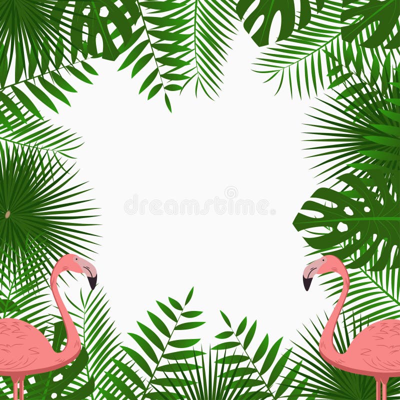 Tropische Karten-, Plakat- oder Fahnenschablone mit DschungelPalme verlässt und rosa Flamingovögel Exotischer Hintergrund Vektor