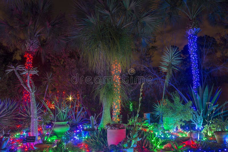 Tropische Kerstmistuin royalty-vrije stock afbeelding Tropische Kerstmistuin royalty-vrije stock afbeelding