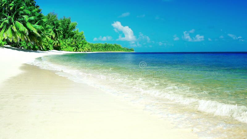 Tropische overzeese oceaangolvenbeweging in zonnig daglicht op strand, met overzees landeiland