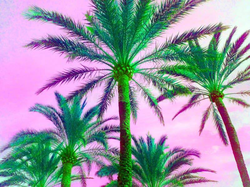 tropical palm tree in retro vapor wave synth neon 80`s summer vibe saturated in ufo green and plastic pink exotic trend pop art. tropical palm tree in retro vapor wave synth neon 80`s summer vibe saturated in ufo green and plastic pink exotic trend pop art