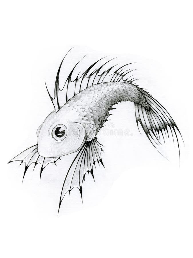 Tropische Schwarzweiss Fische Stock Abbildung Illustration Von Anstrich Zeichnung 9766