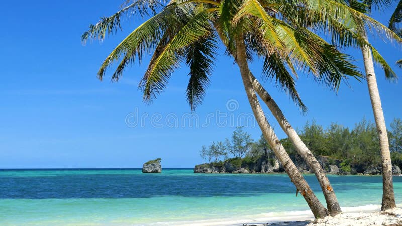 Tropische Strandlandschaft