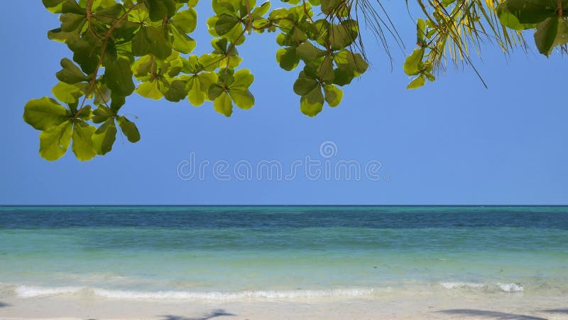 Tropische Strandlandschaft