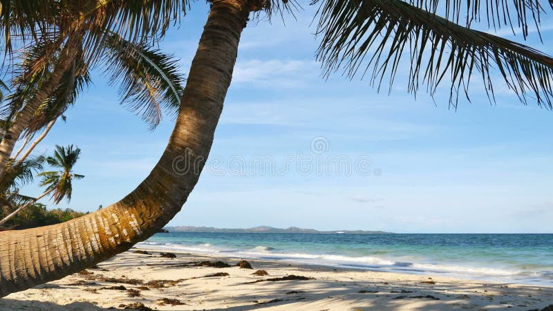 Tropische Strandlandschaft