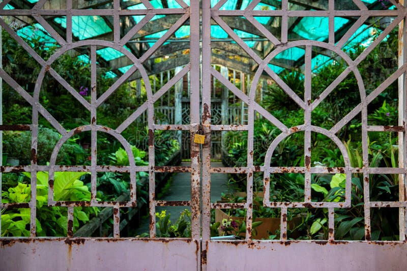 Tropische tuin afgesloten onder een stevige metalen poort Exotische orchidekas Geheime tuin in tropisch park stock afbeeldingen Tropische tuin afgesloten onder een stevige metalen poort Exotische orchidekas Geheime tuin in tropisch park stock afbeeldingen