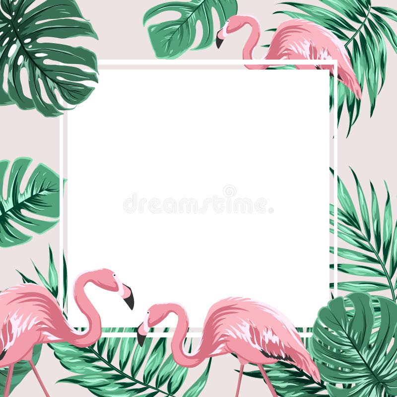 Tropische van de bannerbladeren van het grenskader de flamingovogels vector illustratie Tropische van de bannerbladeren van het grenskader de flamingovogels vector illustratie