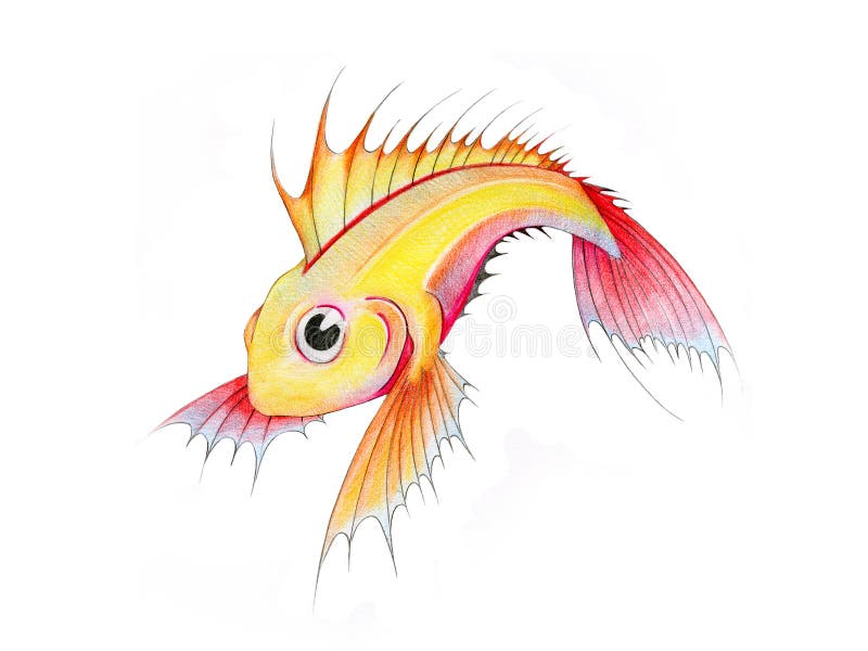Tropische vissen vector illustratie Tropische vissen vector illustratie