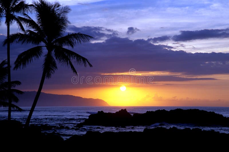 This is a beautiful tropical sunset. This is a beautiful tropical sunset.