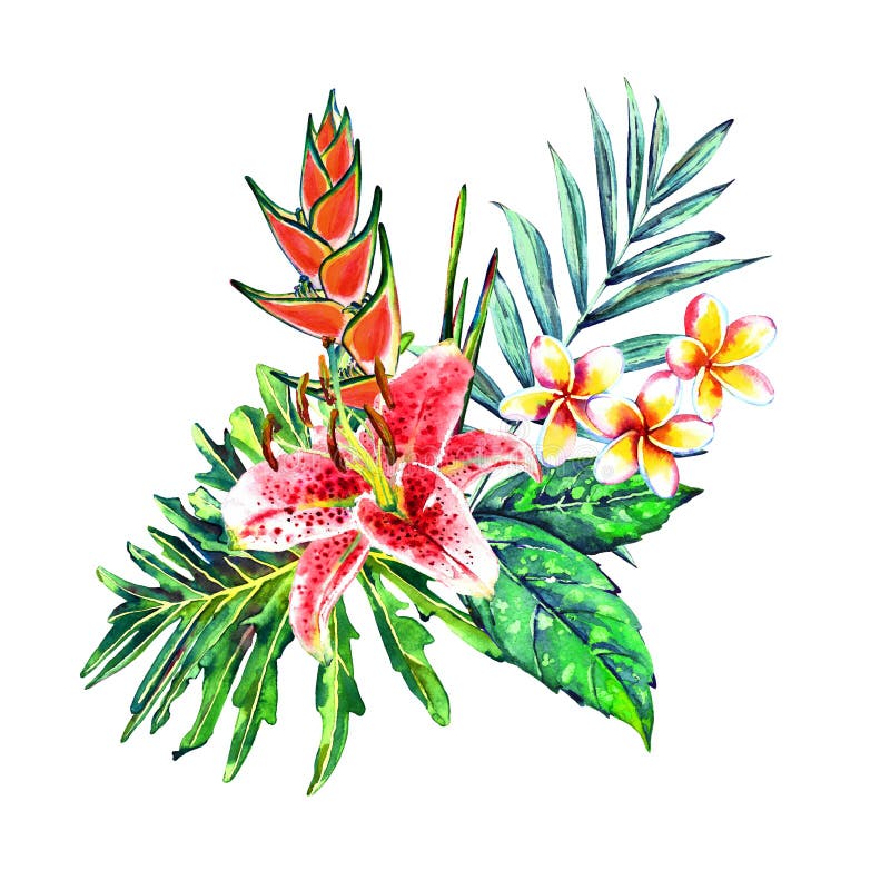 Tropischer Blumenstrauß vektor abbildung Tropischer Blumenstrauß vektor abbildung
