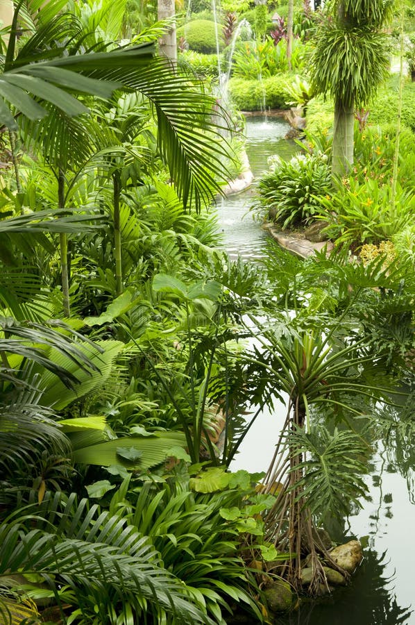 Tropischer Garten stockfoto. Bild von orientalisch, dekor