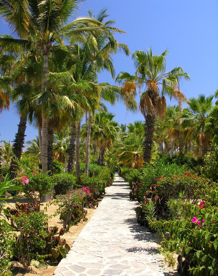Tropischer Garten No.3 stockfoto. Bild von strand, blume