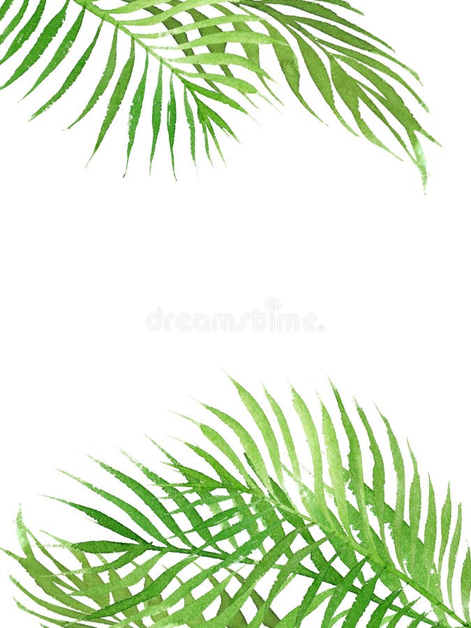 Tropischer Rahmen des Aquarells Grenzmit Palmeblättern lizenzfreie abbildung Tropischer Rahmen des Aquarells Grenzmit Palmeblättern lizenzfreie abbildung