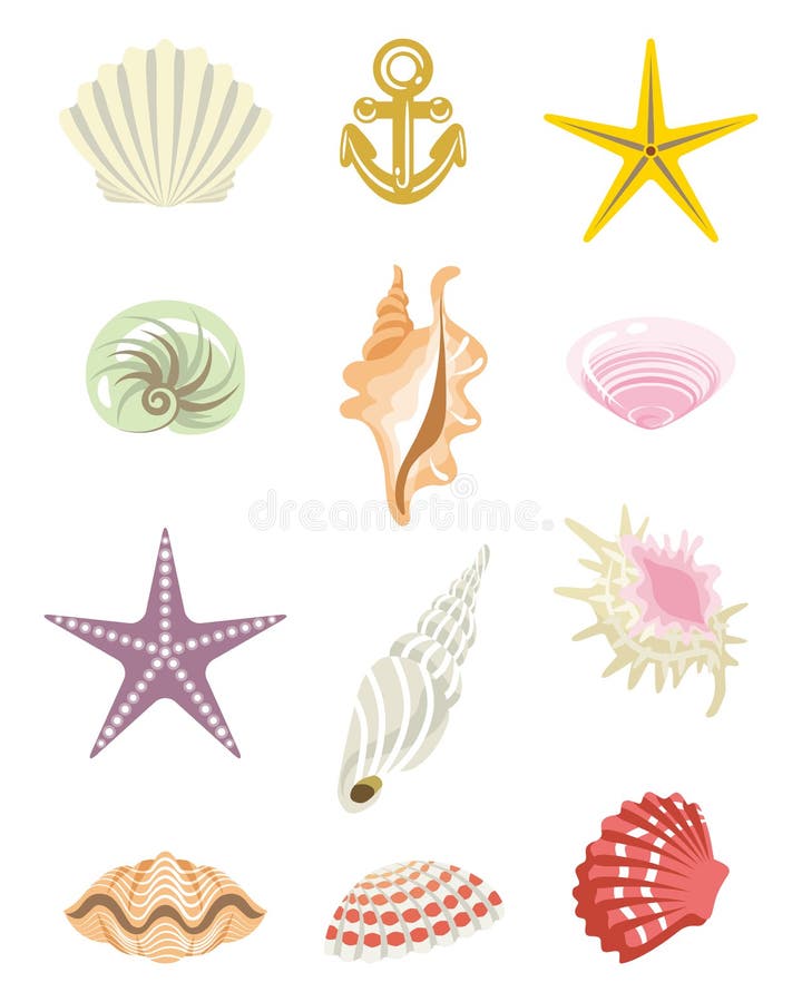 Tropischer Shell-Satz lizenzfreie abbildung Tropischer Shell-Satz lizenzfreie abbildung