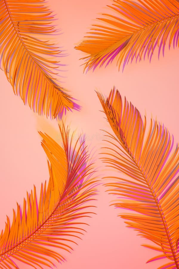 Tropischer Sommerhintergrund - bunte exotische Blätter lizenzfreie stockfotos Tropischer Sommerhintergrund - bunte exotische Blätter lizenzfreie stockfotos