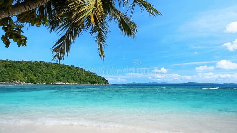 Tropischer Strand