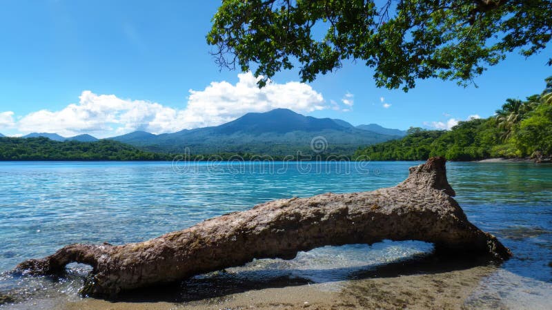 Tropischer Strand mit türkisblauem Wasser und üppiger Vegetation. lizenzfreie abbildung