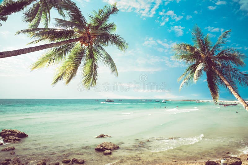 Tropischer Strandmeerblick der Weinlese mit Palme im Sommer