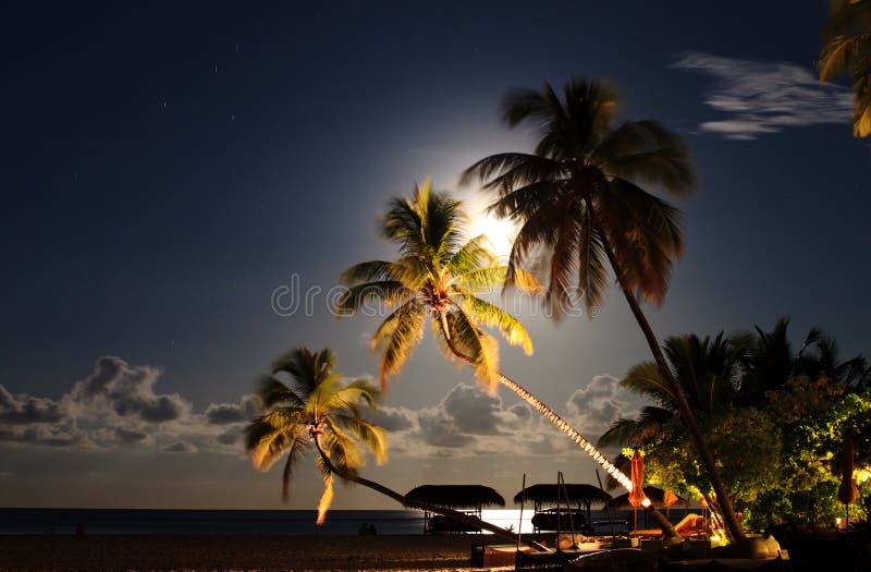 Tropischer Strandurlaubsort nachts. stockfoto Tropischer Strandurlaubsort nachts. stockfoto