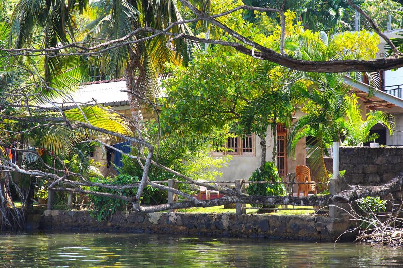 Tropisches Haus umgeben von üppigen Palmen und einem ruhigen Wasserweg. Ein ruhiger Rückzugsort in der Natur perfekt für lizenzfreies stockbild