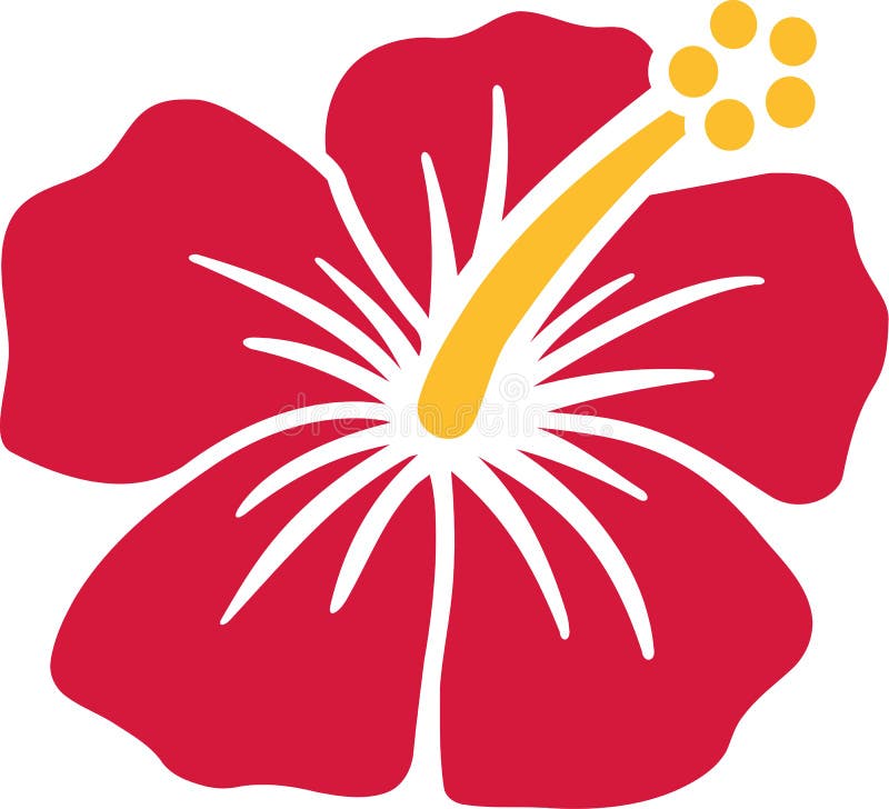 Tropisk hibiskusblomma vektor illustrationer Tropisk hibiskusblomma vektor illustrationer