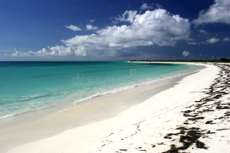 Tropisk idyllisk plats för strand