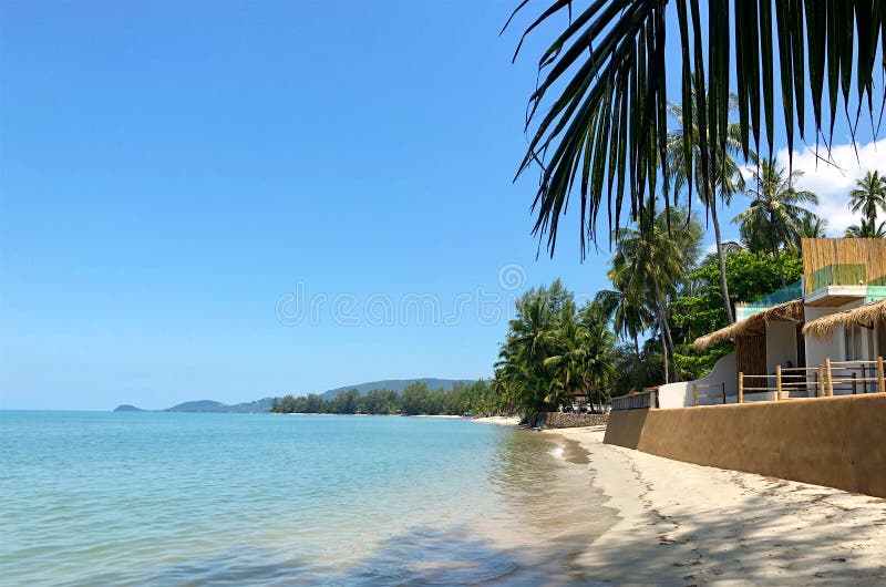 Tropisk strand med palmträd och tropiska hus royaltyfri foto Tropisk strand med palmträd och tropiska hus royaltyfri foto