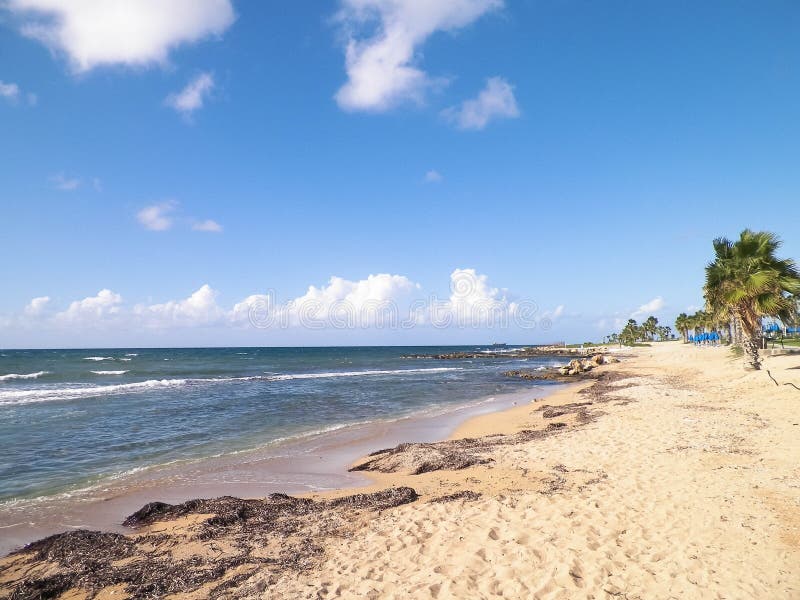 Tropisk syn på palmstrand och Medelhavet nära paphos stad cyprus royaltyfri foto