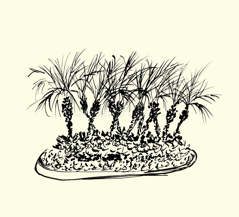 Tropiska palmträd som isoleras på ljus bakgrund Illustrationen av kokosnöten gömma i handflatan gruppen svarta silhouettes Den te stock illustrationer Tropiska palmträd som isoleras på ljus bakgrund Illustrationen av kokosnöten gömma i handflatan gruppen svarta silhouettes Den te stock illustrationer