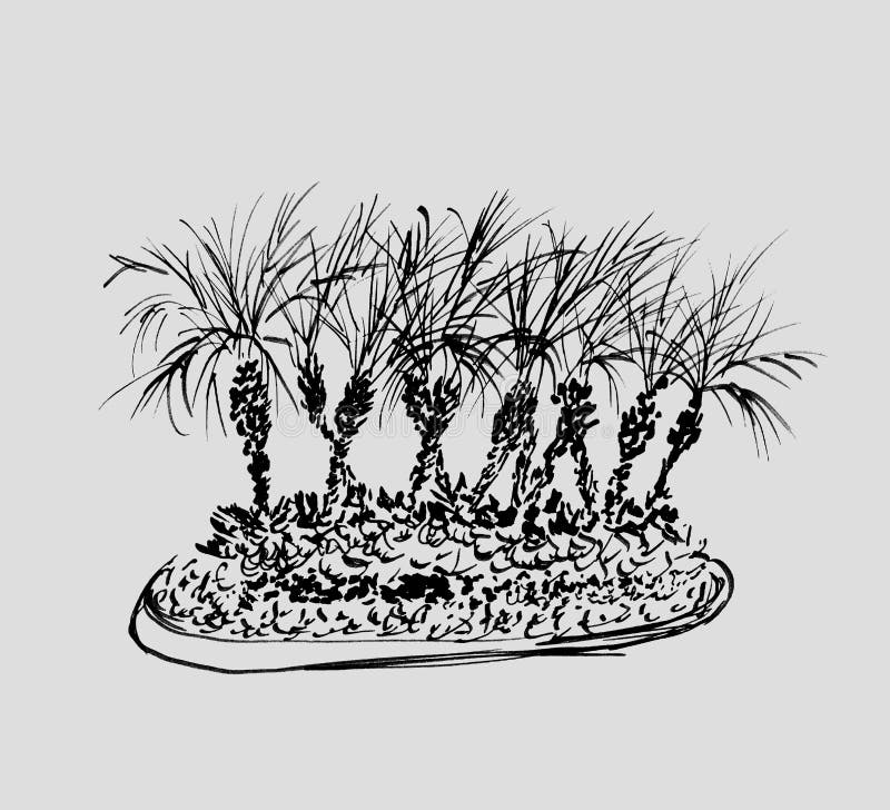 Tropiska palmträd som isoleras på ljust - grå bakgrund Illustrationen av kokosnöten gömma i handflatan gruppen svarta silhouettes royaltyfri illustrationer Tropiska palmträd som isoleras på ljust - grå bakgrund Illustrationen av kokosnöten gömma i handflatan gruppen svarta silhouettes royaltyfri illustrationer