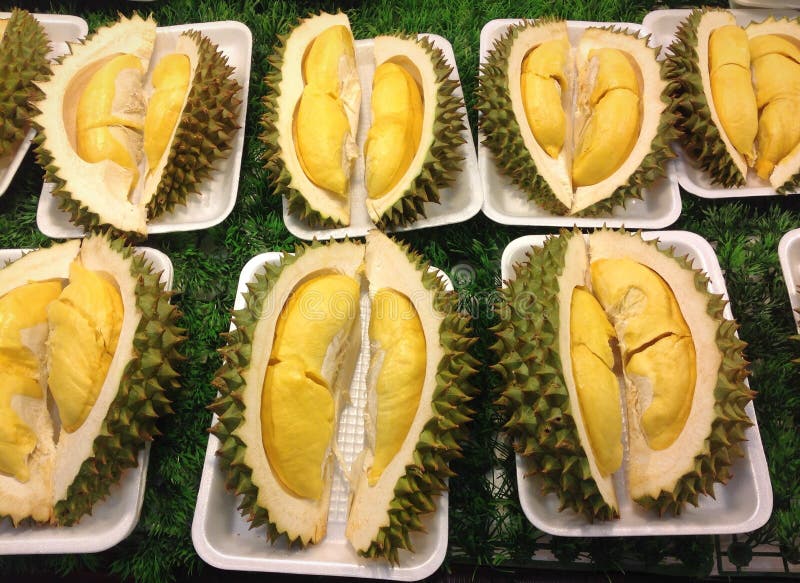 Tropiskt isolerat foto för durian frukt arkivbild