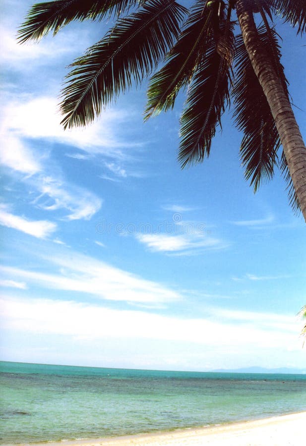 Download Tropiskt strandparadis arkivfoto. Bild av soligt, palm, paradis - 34858