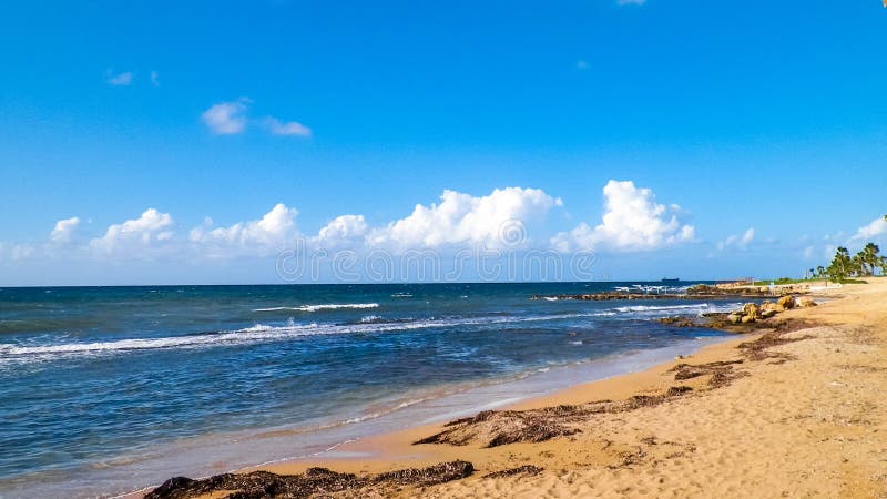 Tropiskt utseende av palmstrand och Medelhavet nära ön Paphos City Cyprus royaltyfria bilder