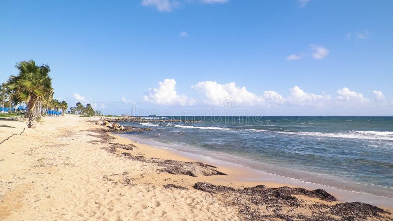 Tropiskt utseende av palmstrand och Medelhavet nära ön Paphos City Cyprus royaltyfri fotografi