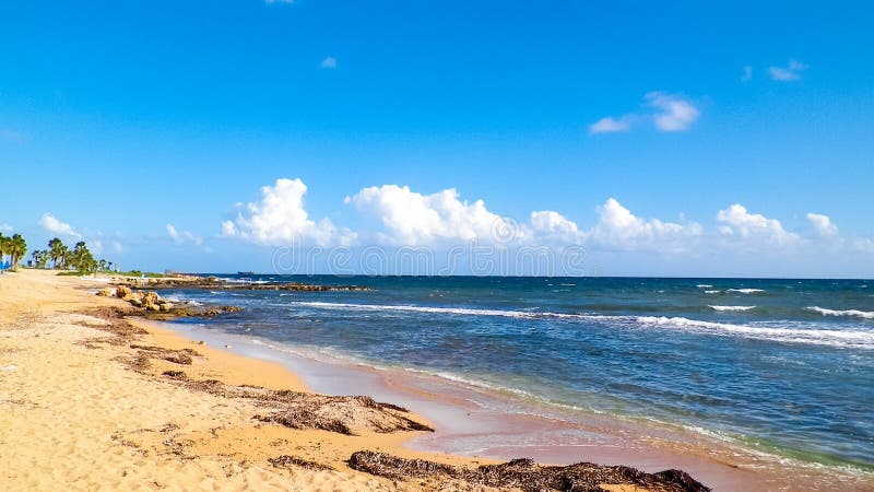 Tropiskt utseende av palmstrand och Medelhavet nära ön Paphos City Cyprus royaltyfri fotografi