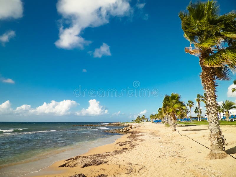 Tropiskt utseende av palmstrand och Medelhavet nära ön Paphos City Cyprus arkivbilder