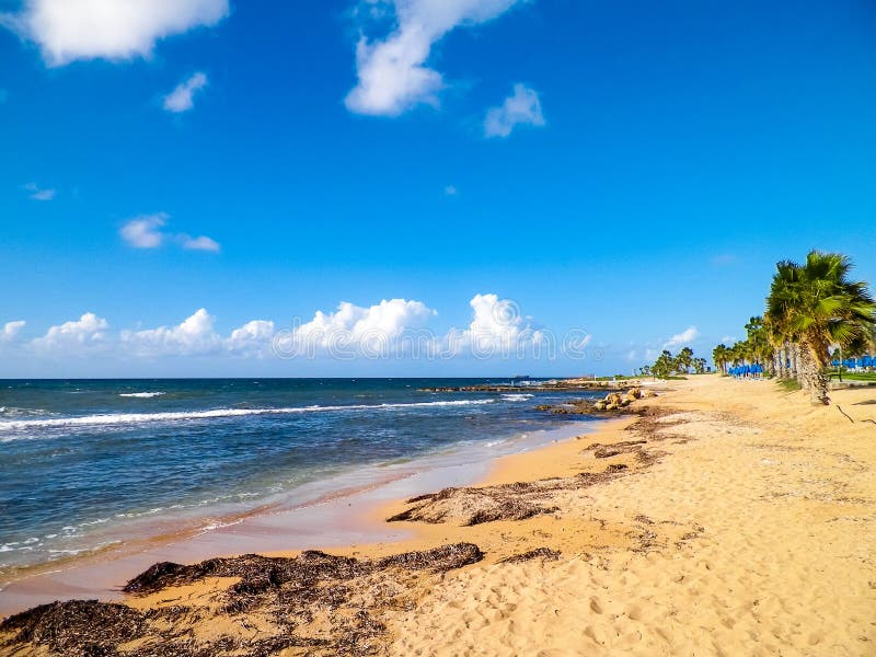 Tropiskt utseende av palmstrand och Medelhavet nära ön Paphos City Cyprus royaltyfri bild