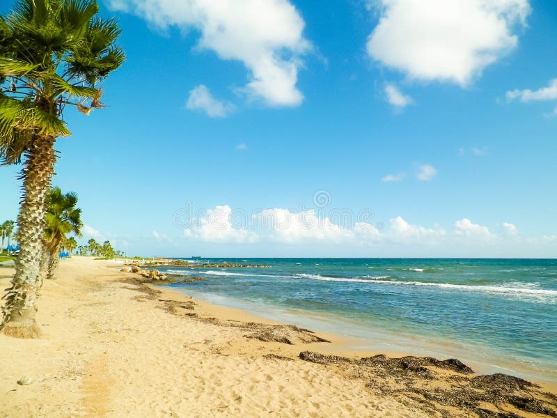 Tropiskt utseende av palmstrand och Medelhavet nära ön Paphos City Cyprus royaltyfri foto