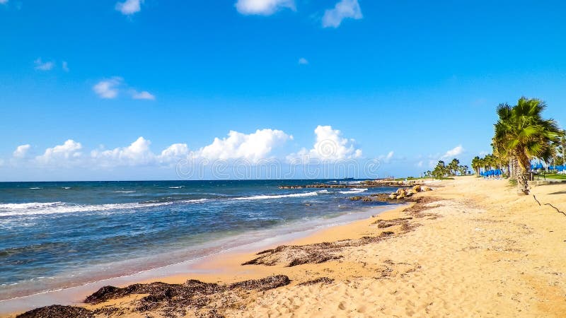 Tropiskt utseende av palmstrand och Medelhavet nära ön Paphos City Cyprus fotografering för bildbyråer