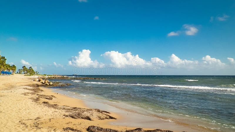 Tropiskt utseende av palmstrand och Medelhavet nära ön Paphos City Cyprus arkivfoton