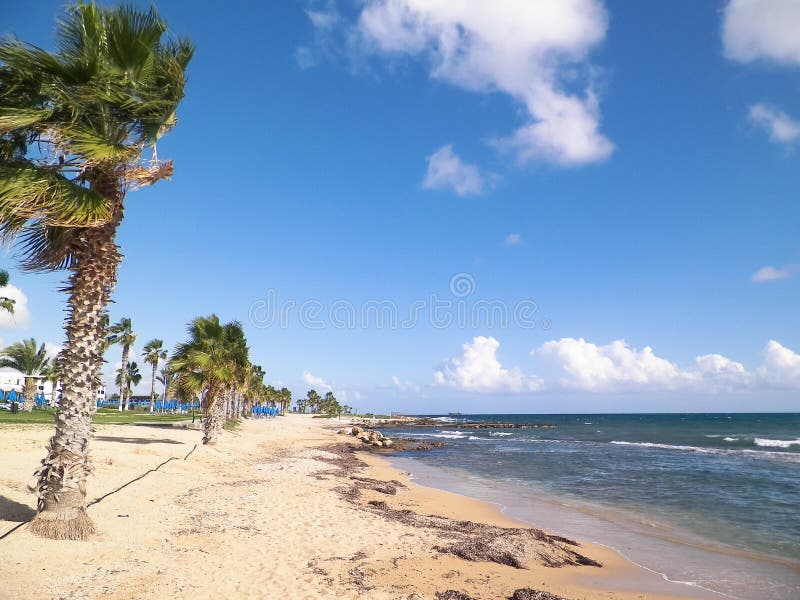 Tropiskt utseende av palmstrand och Medelhavet nära ön Paphos City Cyprus arkivfoto